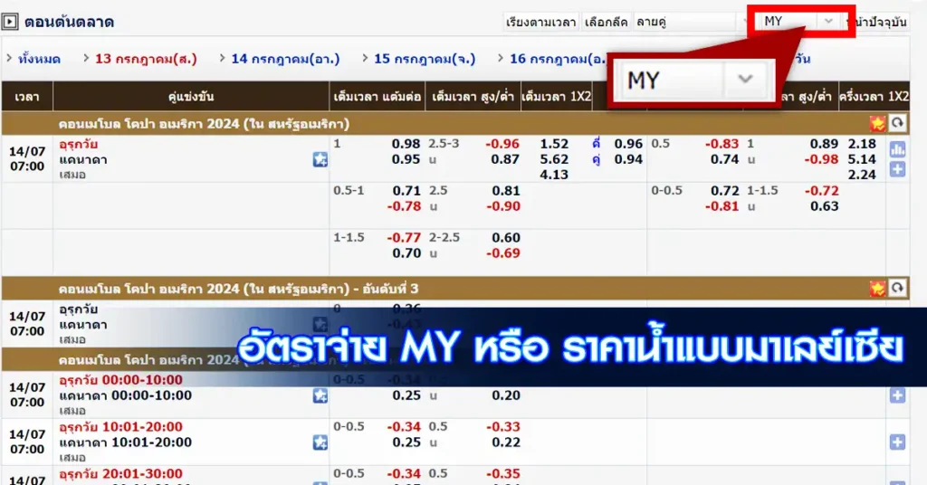 ราคาน้ำบอล MY