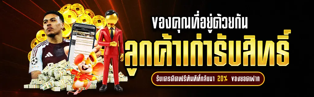 โปรกลับมาเล่น